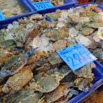 タイ　パタヤ　リゾート！旅の上級者は、気軽にOne Day Trip！