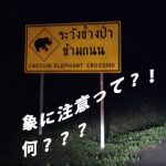 タイで車を運転する人必読！注意すべき5つのこと。（観光編）