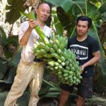 タイの田舎町に移住して５ヶ月！農的生活をしてきて、農業を営んでいる方の大変さがわかった５ヶ月でもあった！