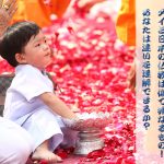 タイと日本の仏教は似て非なるもの!あなたは違いを理解できるか?