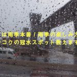 タイは雨季本番!雨季の楽しみ方とバンコクの冠水スポットを教えます!