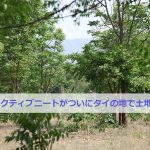 五十代アクティブニート(日本人)がタイの田舎で土地購入?!